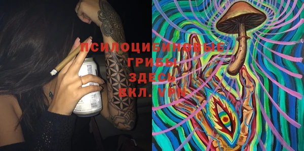 мет Шадринск