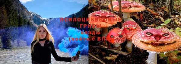 гидра Верхний Тагил