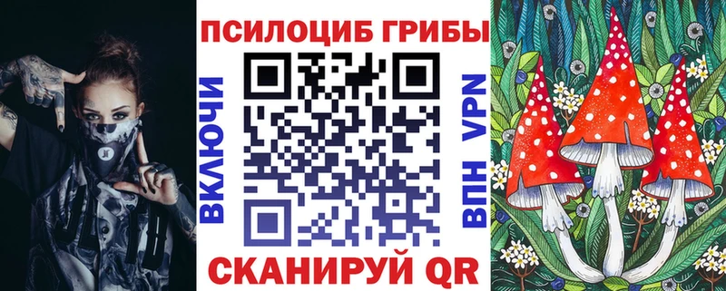 наркотики  ОМГ ОМГ онион  Псилоцибиновые грибы Psilocybine cubensis  Зеленокумск 